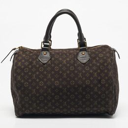 Louis Vuitton: Коричневая сумка  Speedy 30