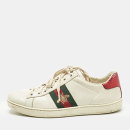 Gucci: Белые кроссовки  Web