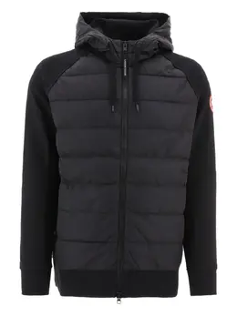 Canada Goose: Стёганые куртка 