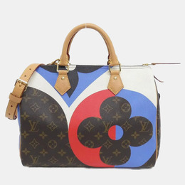 Louis Vuitton: Многоцветная сумка  Speedy
