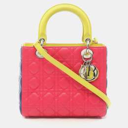 Dior: Многоцветная сумка 