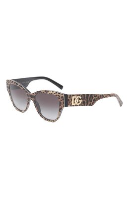 Dolce & Gabbana: Очки 