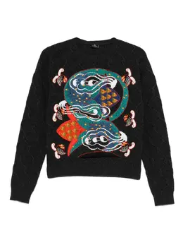 ETRO: Трикотажный свитер 