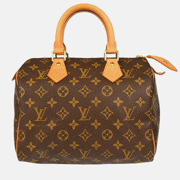 Louis Vuitton: Коричневая сумка  Speedy 25