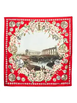 Dolce & Gabbana Pre-Owned: Шарф с принтом 