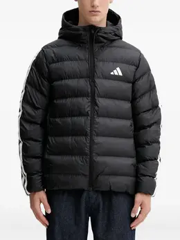 adidas: Куртка с капюшоном 