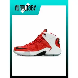 NIKE: Кеды  Lebron 12