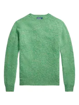 Polo Ralph Lauren: Свитер с длинным рукавом 