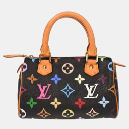 Louis Vuitton: Многоцветная сумка  Speedy