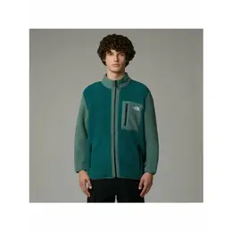 The North Face: Флисовая толстовка  Fleece