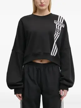 adidas: Свитшот в полоску 