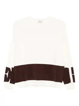 Elisabetta Franchi: Свитер с длинным рукавом 