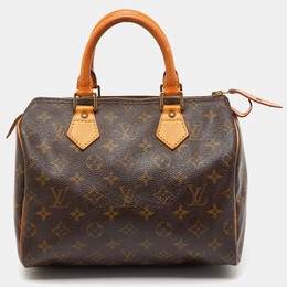 Louis Vuitton: Коричневая сумка  Speedy 25
