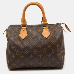 Louis Vuitton: Коричневая сумка  Speedy 25