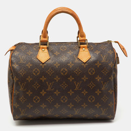 Louis Vuitton: Коричневая сумка  Speedy 30