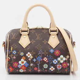 Louis Vuitton: Многоцветная сумка  Speedy