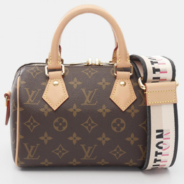 Louis Vuitton: Коричневая сумка  Speedy