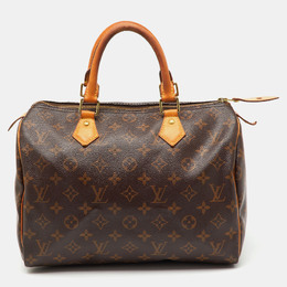 Louis Vuitton: Коричневая сумка  Speedy 30