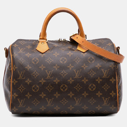 Louis Vuitton: Коричневая сумка  Speedy