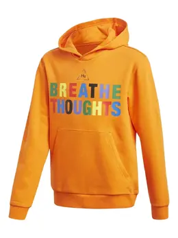 adidas: Радужный свитшот 