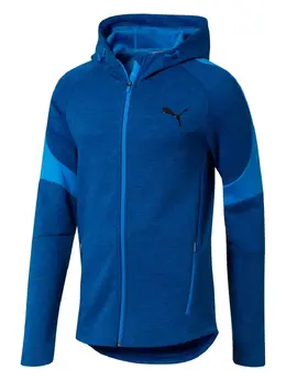 PUMA: Голубая толстовка  Evostripe