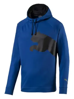 PUMA: Голубая толстовка  Training