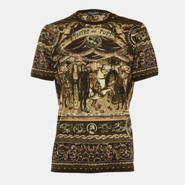 Dolce & Gabbana: Коричневая футболка  T