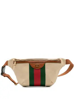 Gucci Pre-Owned: Коричневая поясная сумка 