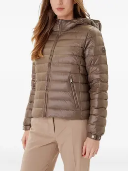 Tommy Hilfiger: Куртка с капюшоном 