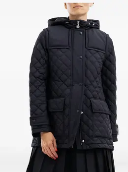 Moncler: Стёганые куртка 
