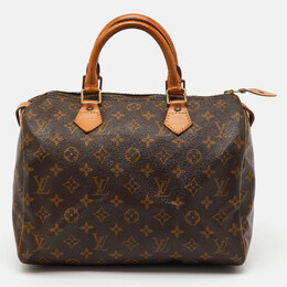 Louis Vuitton: Коричневая сумка  Speedy 30