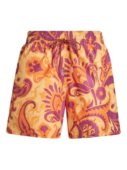 ETRO: Плавки 