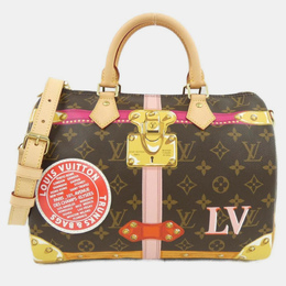 Louis Vuitton: Коричневая сумка  Speedy
