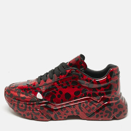 Dolce & Gabbana: Чёрные кроссовки  Daymaster