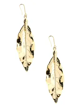 Roberto Cavalli: Серьги 
