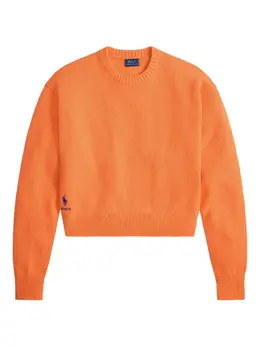 Polo Ralph Lauren: Свитер с длинным рукавом 