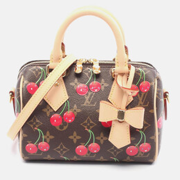 Louis Vuitton: Коричневая сумка  Speedy