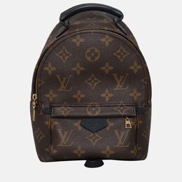Louis Vuitton: Коричневый рюкзак 