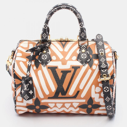 Louis Vuitton: Многоцветная сумка  Speedy