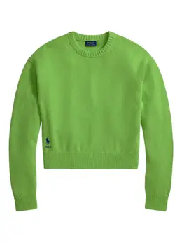 Polo Ralph Lauren: Свитер с длинным рукавом 
