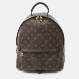 Louis Vuitton: Коричневый рюкзак 