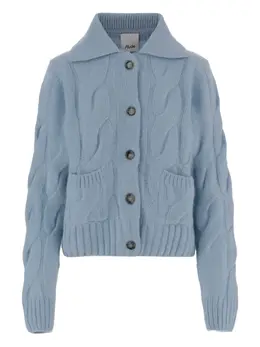 Allude: Трикотажный кардиган 