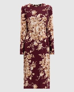 Dolce&Gabbana: Сукні 