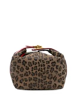Fendi Pre-Owned: Сумка с леопардовым принтом 