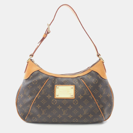 Louis Vuitton: Коричневі сумки 