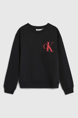 Calvin Klein Jeans: Толстовка 