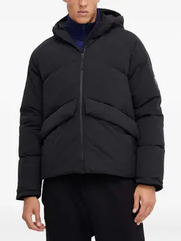 adidas: Куртка с капюшоном 