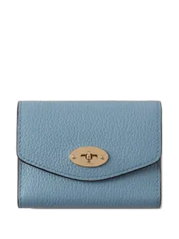 Mulberry: Голубой кошелёк  Darley