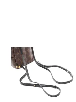 Louis Vuitton Pre-Owned: Коричневый рюкзак 