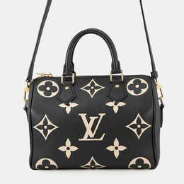 Louis Vuitton: Двухцветная сумка  Speedy